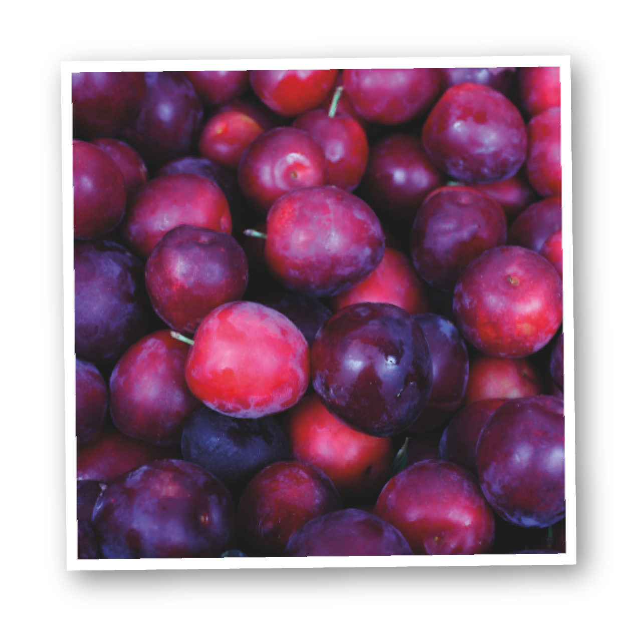 plums