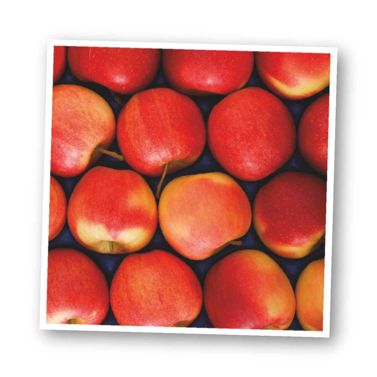 red apples