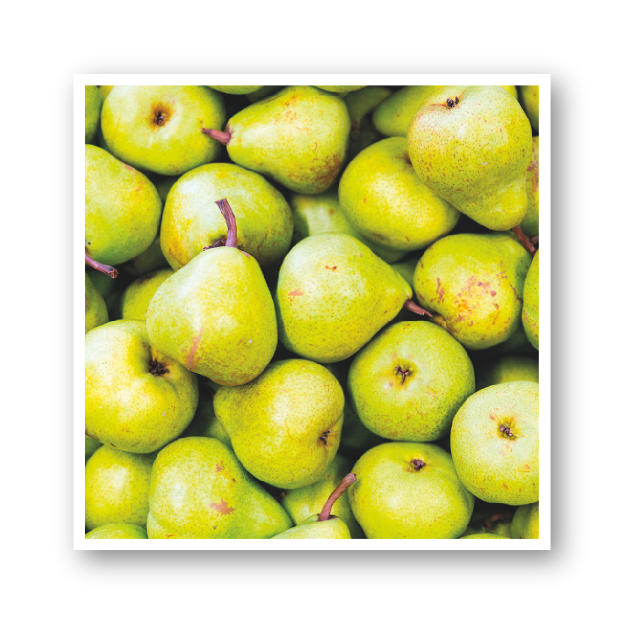 pears