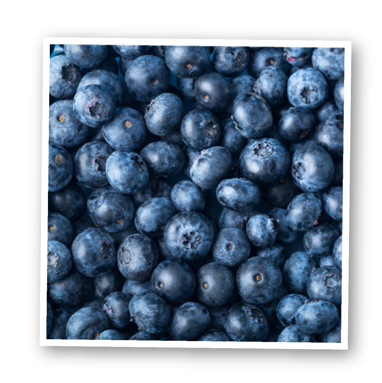 blueberries