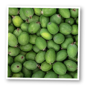 Pile of Feijoas