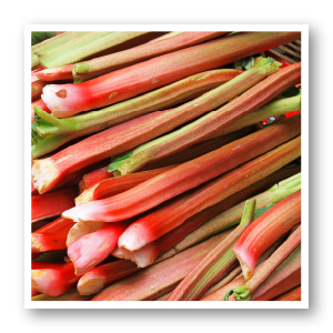 Pile of rhubarb